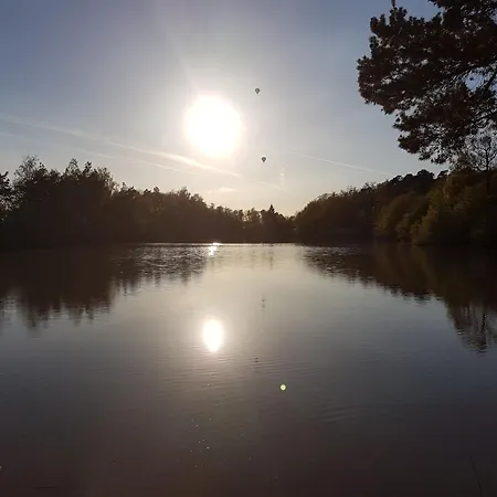 Lejlighed Vogelsang