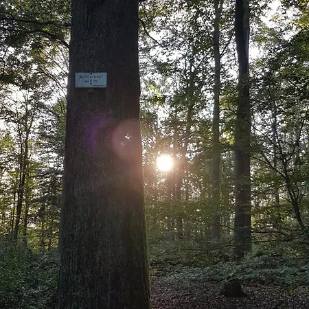 Vogelsang Lejlighed *